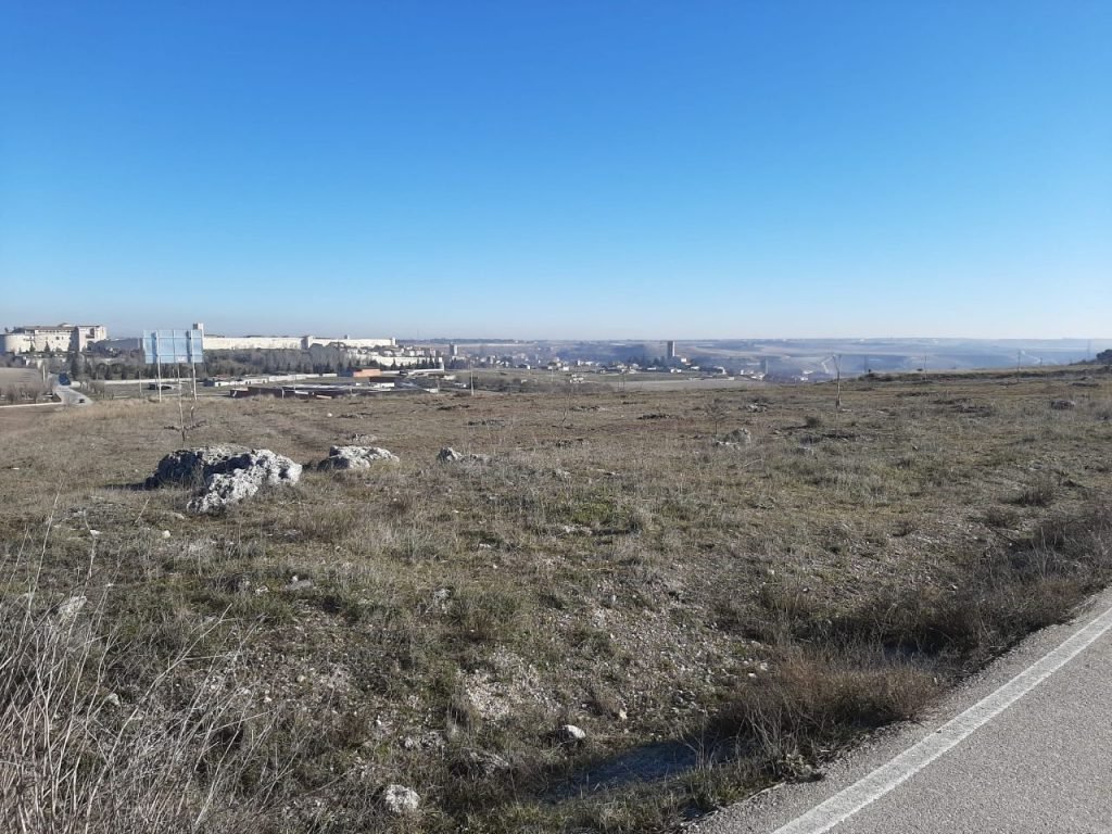 Vista del paraje de Las Lomas de Cuéllar, terreno incluido en el convenio de repoblación